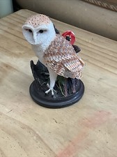 The Country Bird  Collection - The Barn Owl