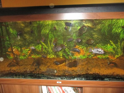 Aquarium 450 Liter kompiett mit Unterschrank und Aquariumzubehör