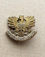 Rare insigne, broche médaille de ski  de l'ESF de Serre Chevalier, Classe OR