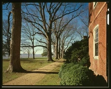 84. VIEW RIVER FROM WEST - Westover, State Route 633, Westover, Charles City