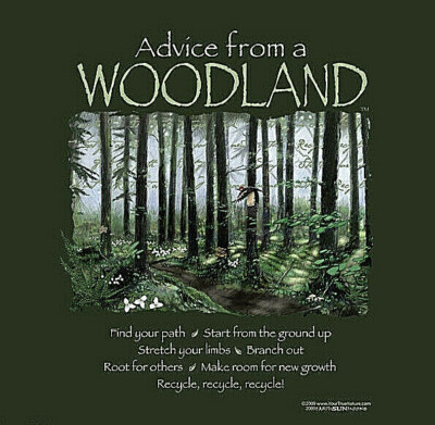 Woodland T-shirt S Small Advice Green Unisex 100% Cotton
