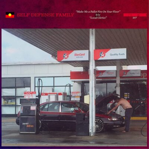 Self Defense Family Make Me a Pallet Fire On Your Floor/Local Clerics (Vinyl LP)