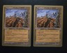 1x Wasteland MP  1998 Randy Buehler World Championship Deck MTG Sideboard