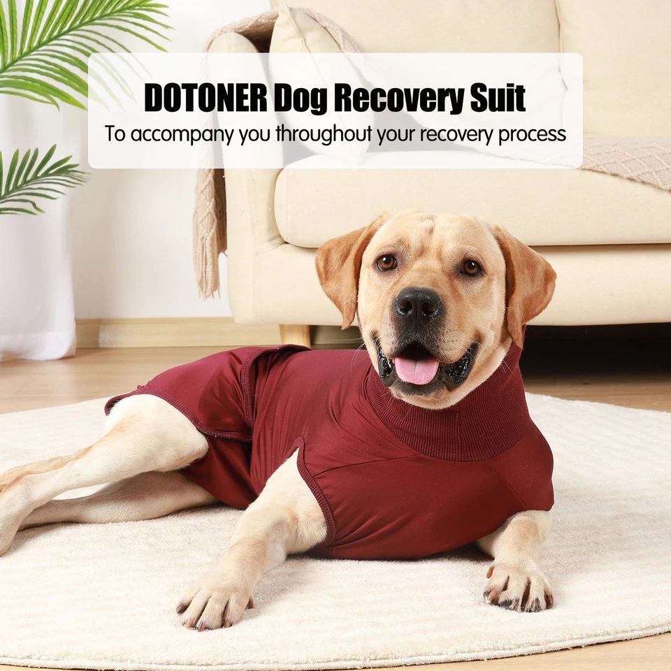 Dog Recovery Suit After Surgery Dog Physiological Pants Diaper Bodysuit Jumpsuit - Image 4 of 4