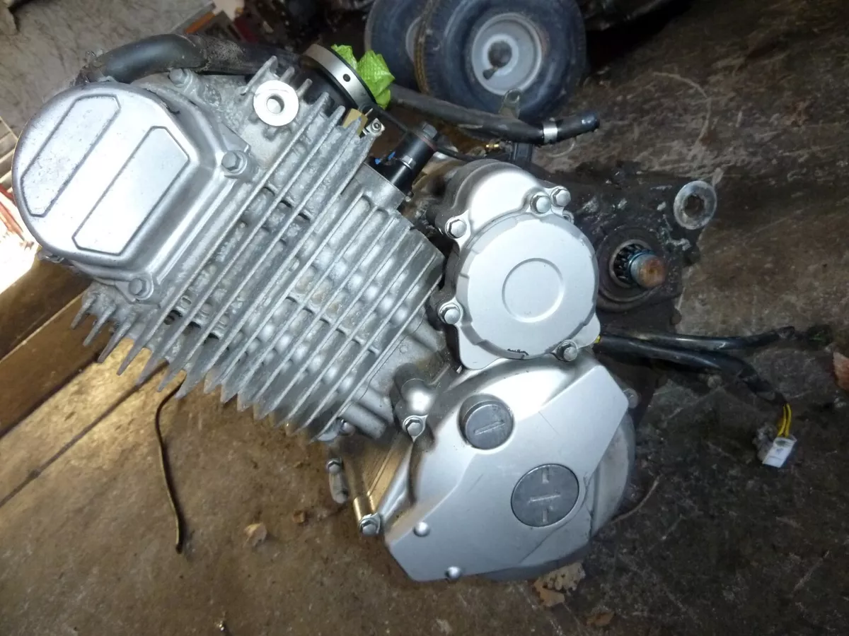 2021 kawasaki klx230 online