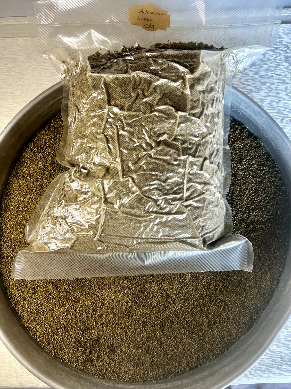 Artemisia Annua séchée 1kg net sous vide pour infusions naturelles et bien-être
