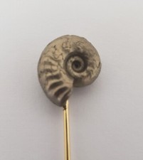 Real Sea Snail Fossil Shell Hat Lapel Stick Pin Brooch Pyritized Ammonite