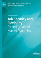 Job Security And Flexibility Emil Dinga