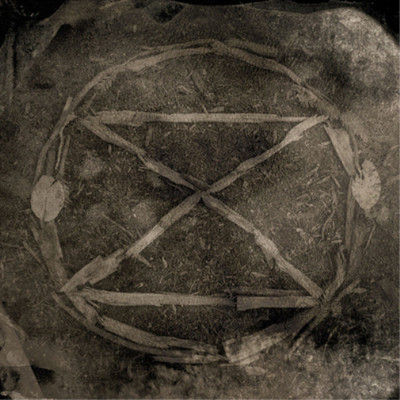 Common Eider, King Eider Extinction (CD) Album