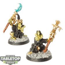 Orc & Goblin Tribes - 2x Night Goblin Shamans - bemalt