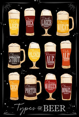 Blechschild 20x30  Types of Beer Bier Sorte  Wand Deko Bar Kneipe Cafe Sammler G