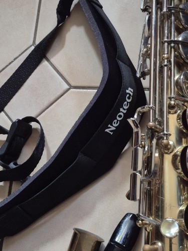 ITALIANO Ambassadore Alto Sax $100 Protec Hard Case Back Pac MADE ITALY 🇮🇹 - 第 17/22 張圖片