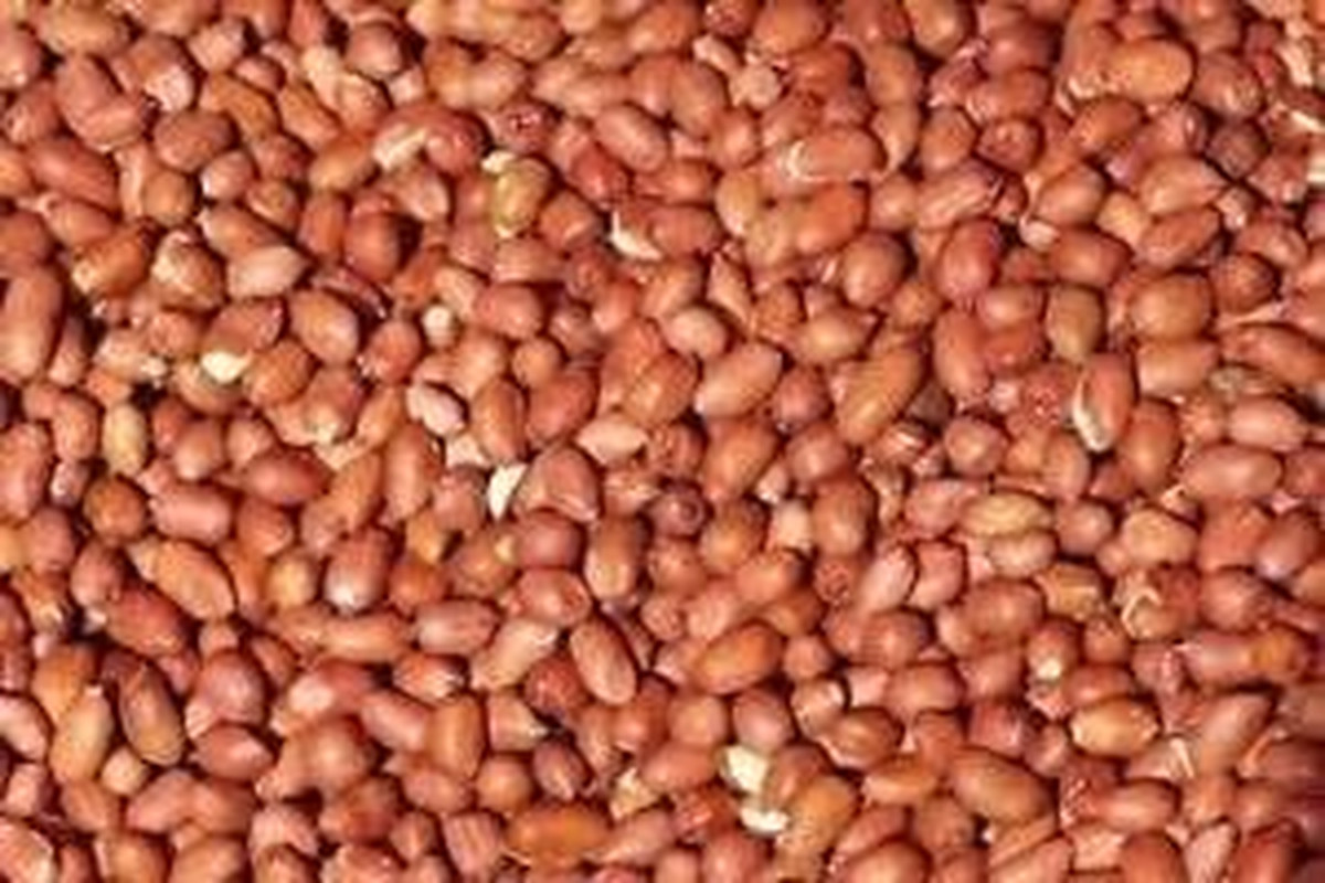 5KG PEANUTS for WILD BIRDS the UK'S TRUSTED BRAND since 1904