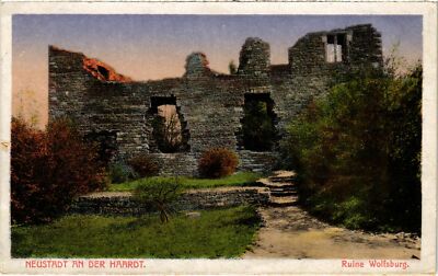 CPA AK Neustadt- Ruine Wolfsburg GERMANY (1023782)