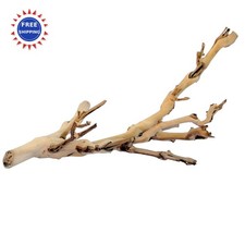 Terrarium Decoration for Reptiles Amphibians Small Pets Exo Terra Forest Branch