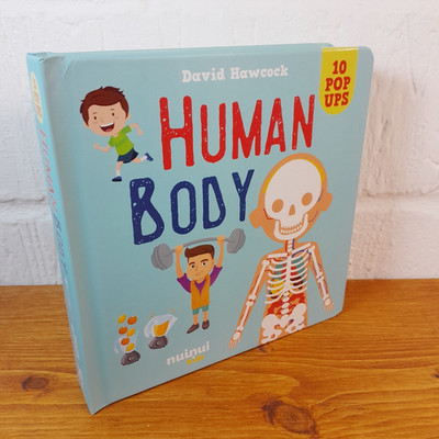 Human Body Pop Up Book Nuinui Kids   David Hawcock