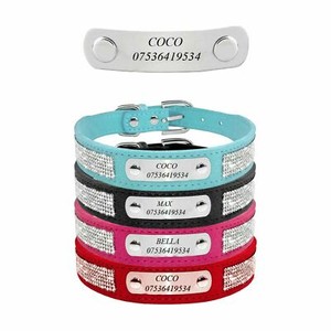 personalised pet collars