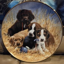 Franklin Mint 11 Limited Editi…