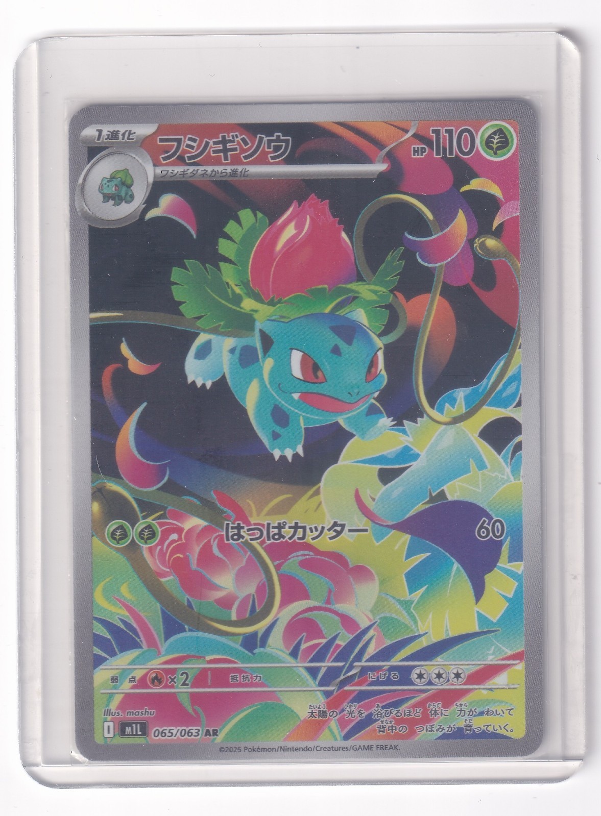 LP Pokemon Card Japanese Ivysaur AR 065/063 M1L Mega Brave + Top Loader