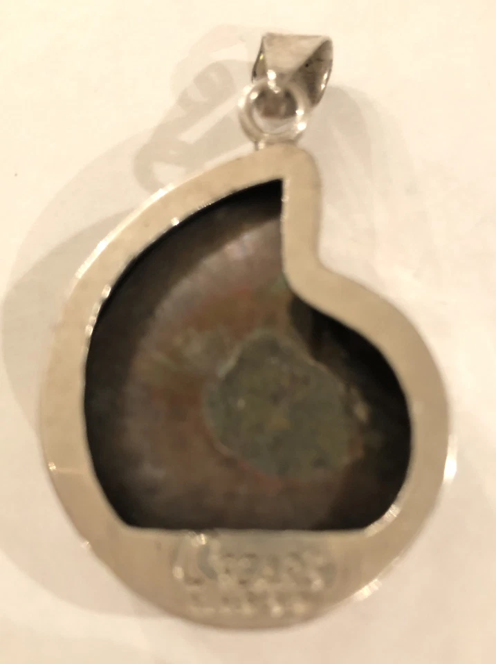 Colgante de amonita de plata de ley ovalado fósil natural grande  Foto 2 de 3