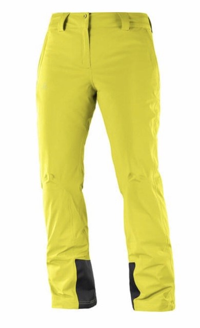 salomon icemania mens ski pants