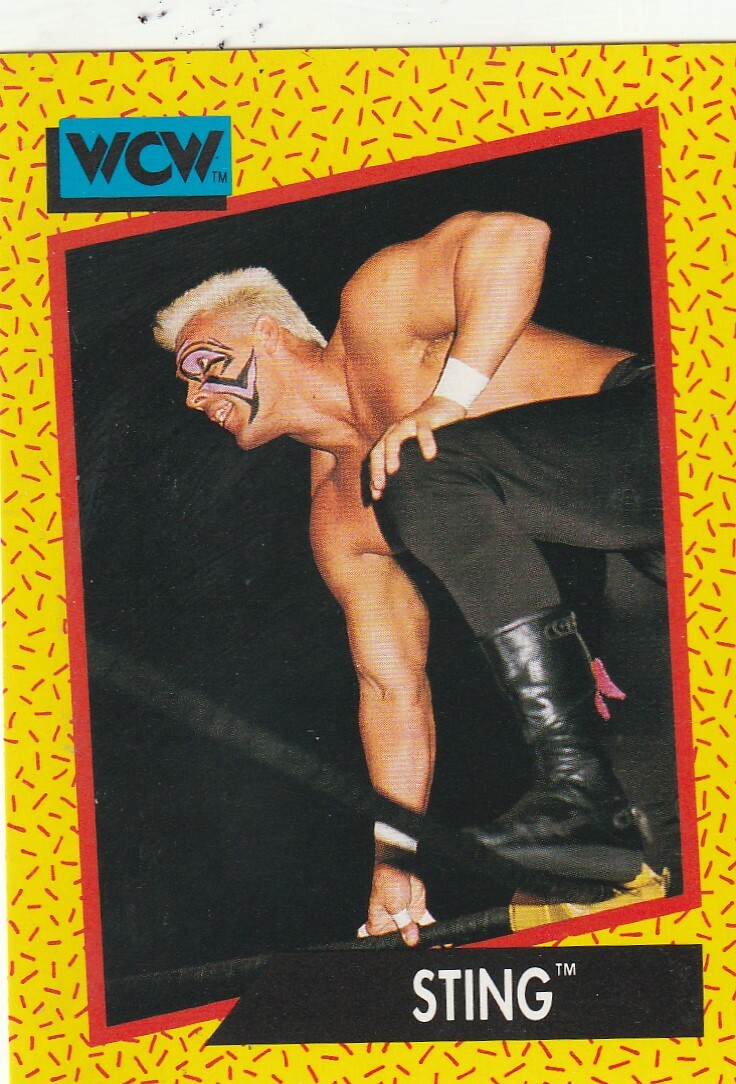 FREE SHIPPING-MINT-1991 Impel WCW Sting #13