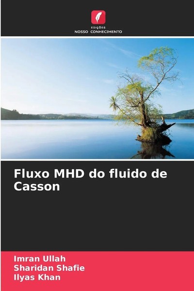Imran Ullah (U. A.) | Fluxo Mhd Do Fluido De Casson | Taschenbuch (2025)-image