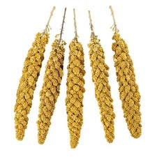Bird Spray Millet, Premium Treats for Parakeets, Finches, Canaries, Budgies ...