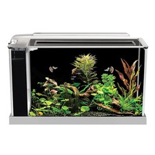 Fluval SPEC 5G Aquarium Kit, Aquarium with LED Lighting and 3-Stage Filtration