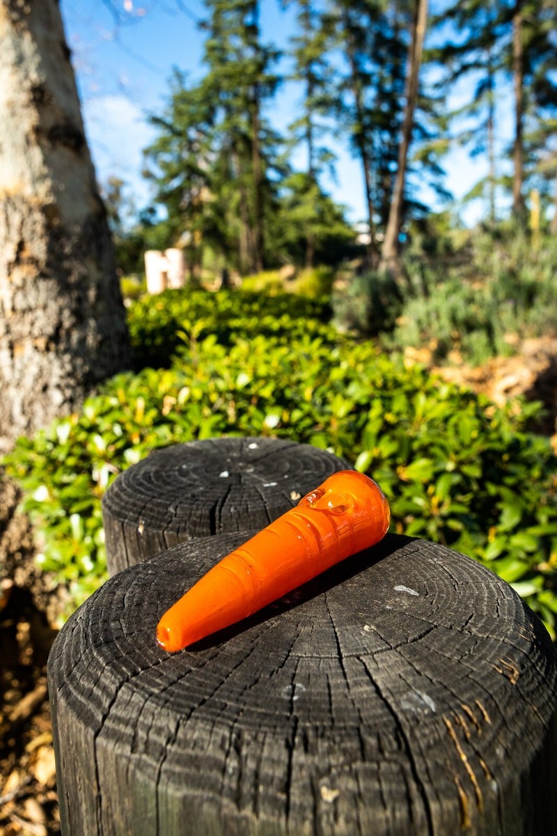 carrot of tobacco 4