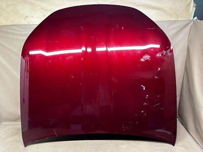 2023 2024 BMW 740i 760i 750e i7 G70 Hood Panel Bonnet Shell Oem DENTS with HOLES