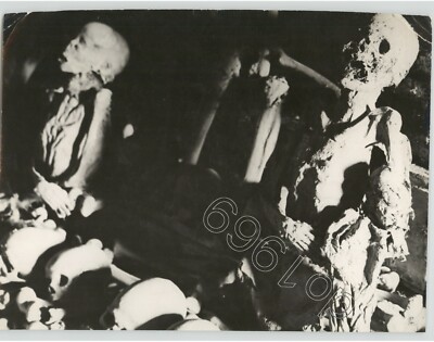 2 CORPSES Skeletons FERENTILLO ITALY MUMMY Crypt SPOOKY 1950s Press Photo