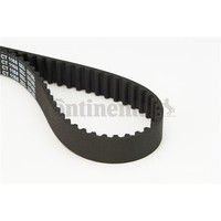 Continental Ctam Zahnriemen Passend FüR Audi A1 A3 A4 A5 A6 Q2 Q3 Q5 TT MAN TGE
