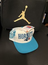 Vintage Charlotte Hornets sports specialty snapback hat Nwt 90s snapback