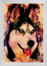 Tikaani our Siberian Husk Framed Wall Art Poster Canvas Print Picture