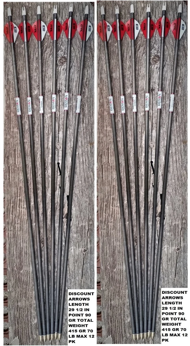 Set De Tir à L'arc Beman – Occasion