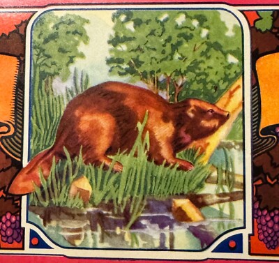 Vintage 1950s Beaver Grape Crate Label, Victor, CA, Stunning Rustic Decor!