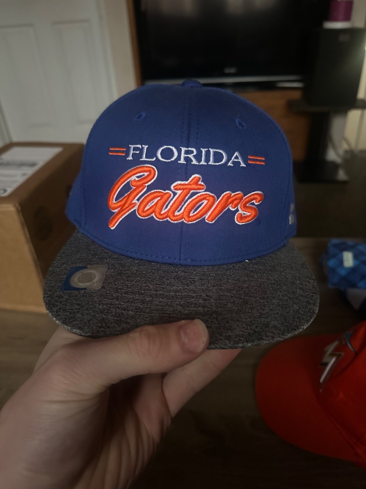 Florida Gators Top Of The World Snapback Hat NCAA Official Blue Orange Logo
