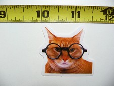 FUNNY CAT KITTEN SMALL STICKER DECAL HUGE GLASSES PET FELINE FUNNY