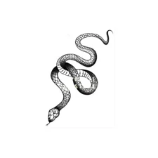 Black Snake Temporary Tattoo Stickers For Women Men Body Waist Waterproof- 3 pcs