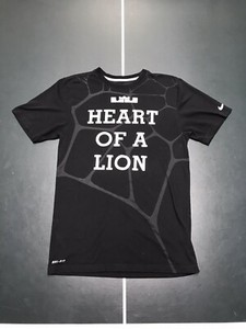 lebron james heart of a lion