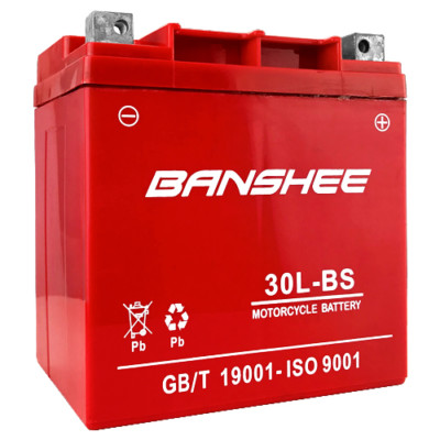 Battery For Harley Davidson FL FLH FLT FLHR Road King Glide Touring 4YR WARRANTY