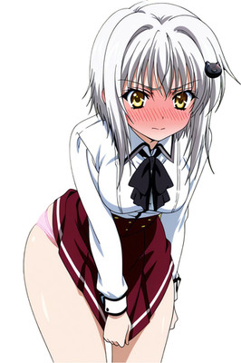 Koneko Highschool DxD Waifu Weatherproof Anime Sticker 6'' Car Decal