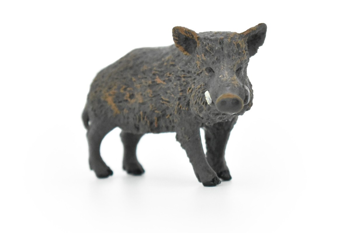 ジェリーキャット イノシシ Swinley Boar S14783.jpg