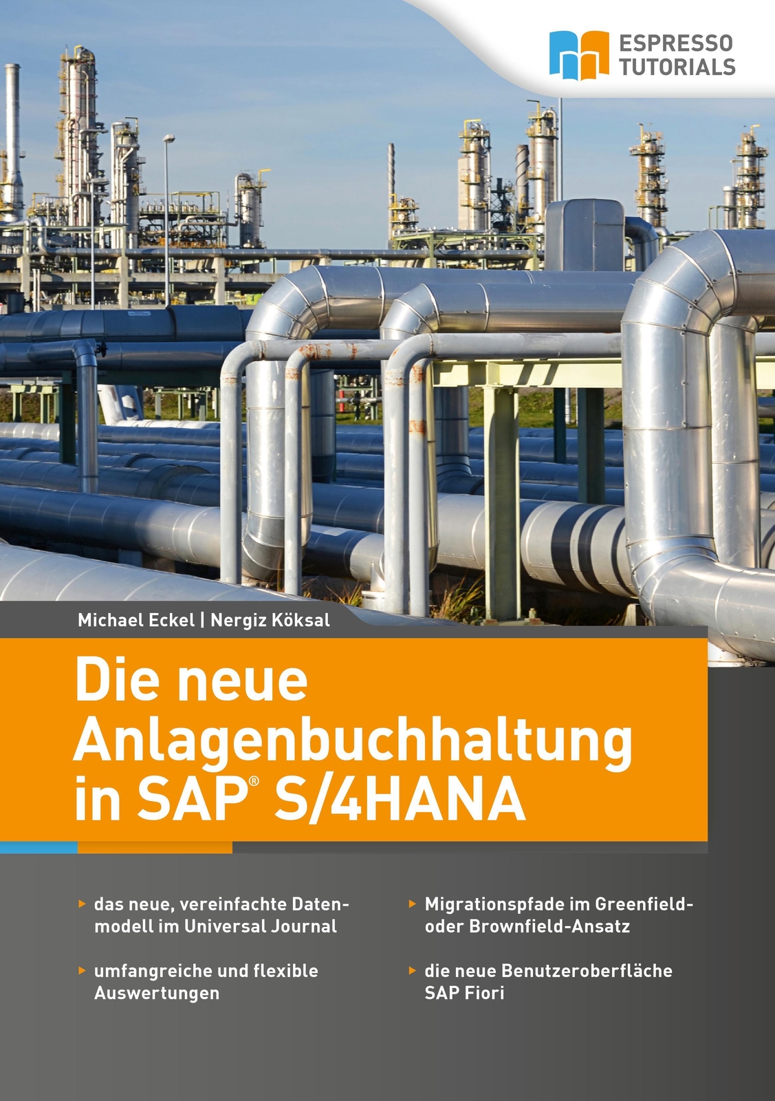 Thumbnail - Die Neue Anlagenbuchhaltung In Sap S/4hana Michael Eckel