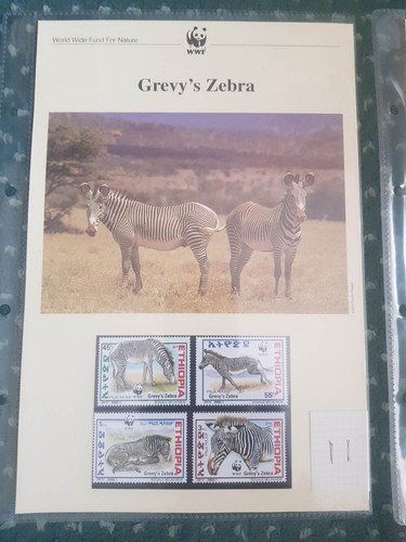 World Wildlife Fund WWF Editorial Stamps & FDC Discounts 20% 4+ items 95 listed - Picture 66 of 634