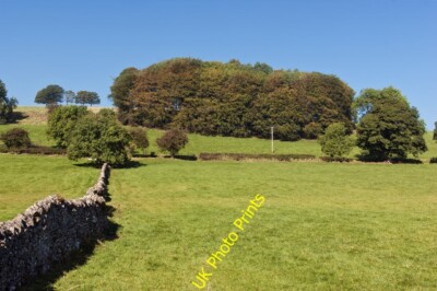 Photo 6x4 The Heaning Newton/SD6950  c2015