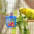 Bild 9 von 11
