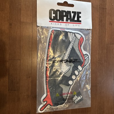 Copaze Nike Sb  Pigeon Dunk Rug Jeff Staple NYC 