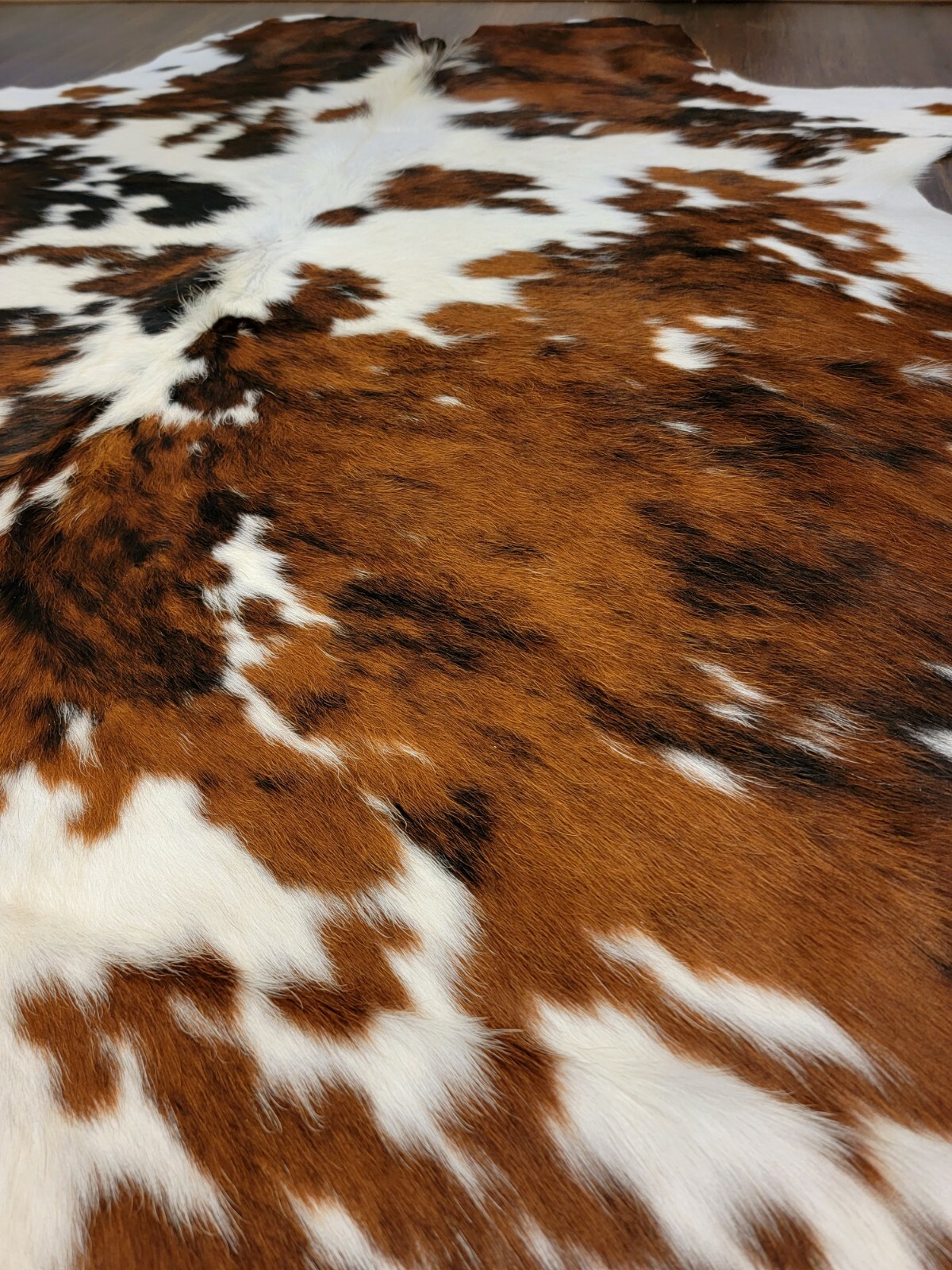 Picture 6 of 7